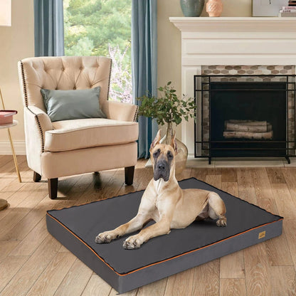 Grand Lit Orthopédique Pour Chien