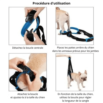 Harnais De Soutien Orthopédique