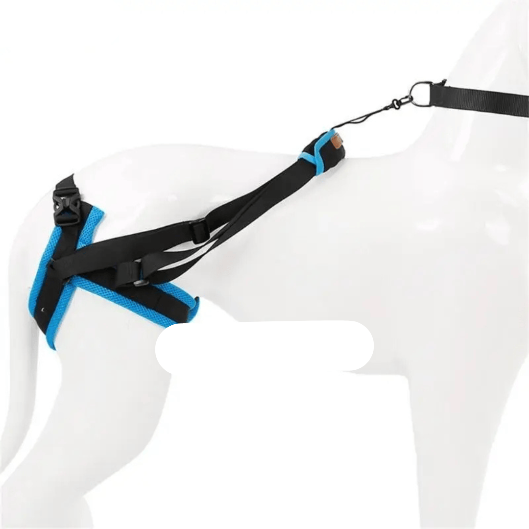 Harnais De Soutien Orthopédique