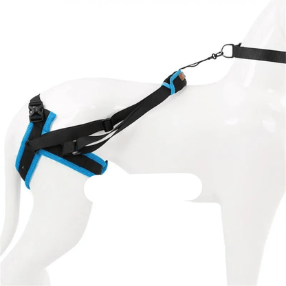 Harnais De Soutien Orthopédique