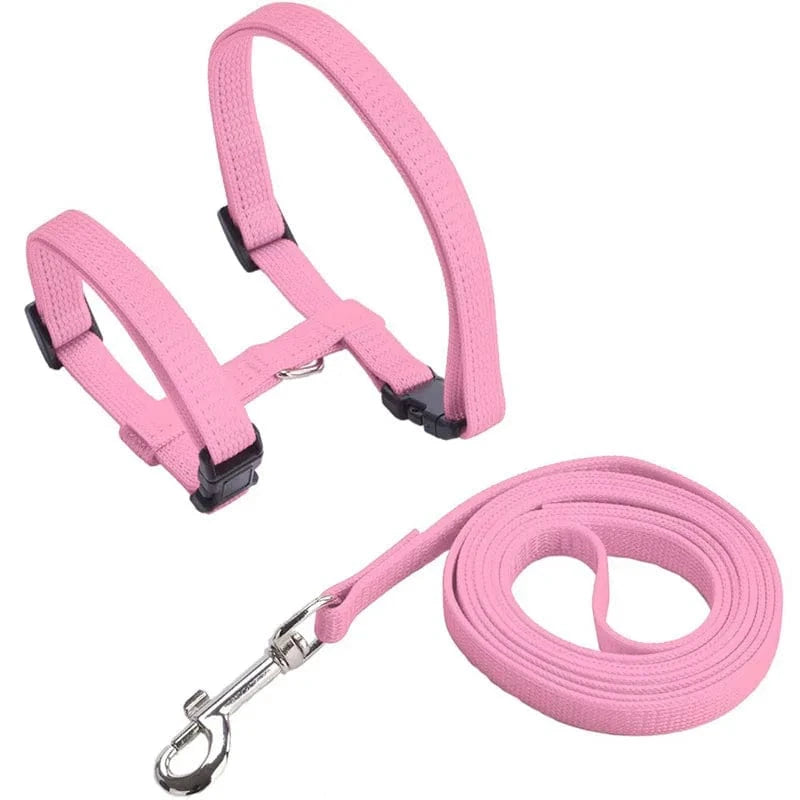 Harnais En Nylon Orthopédique Pour Chat