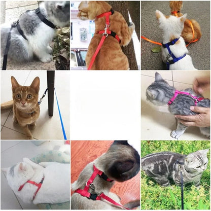 Harnais En Nylon Orthopédique Pour Chat