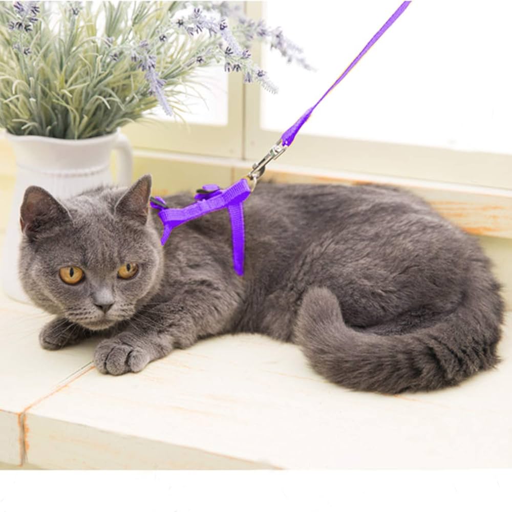 Harnais En Nylon Orthopédique Pour Chat