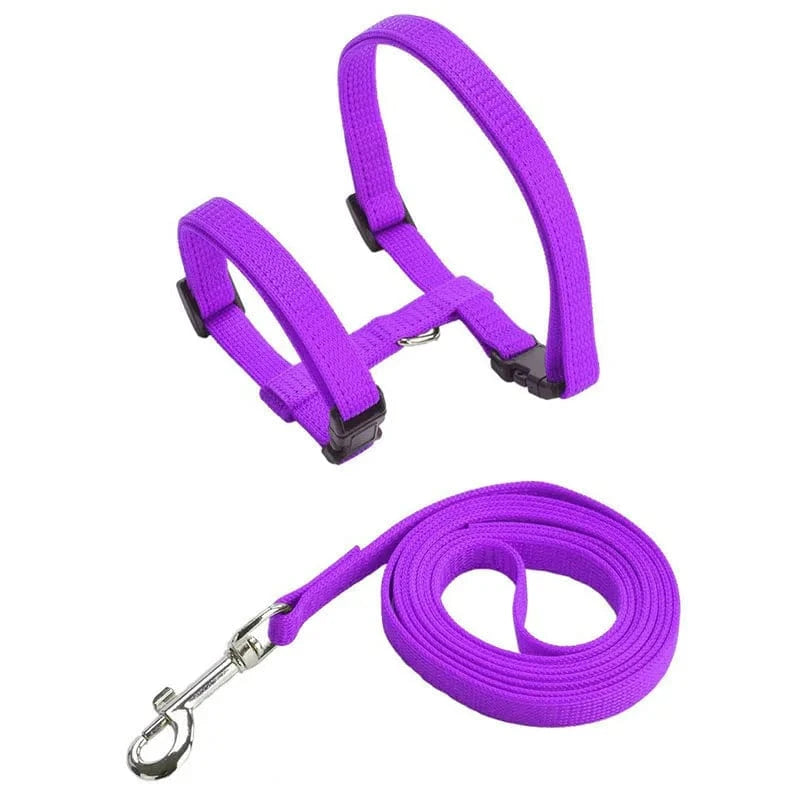 Harnais En Nylon Orthopédique Pour Chat