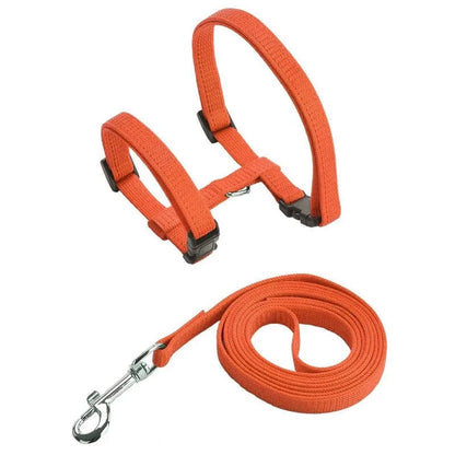 Harnais En Nylon Orthopédique Pour Chat