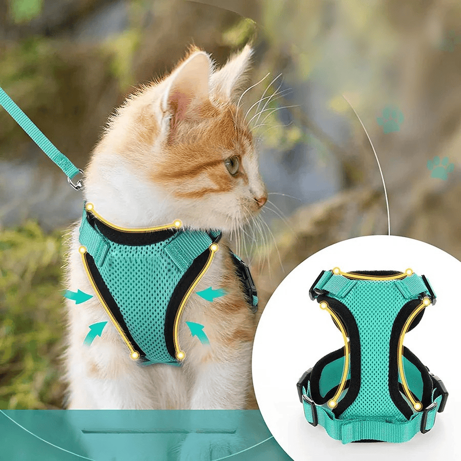 Harnais Orthopédique pour Chat