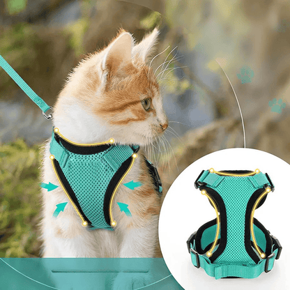 Harnais Orthopédique pour Chat