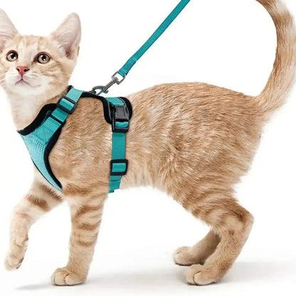 Harnais Orthopédique pour Chat