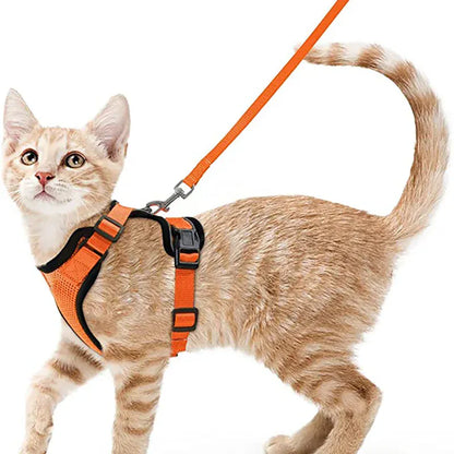 Harnais Orthopédique pour Chat