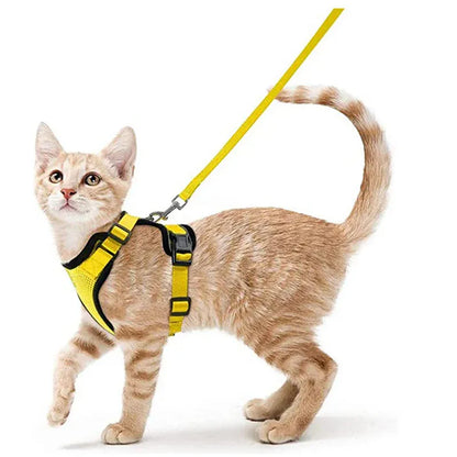 Harnais Orthopédique pour Chat