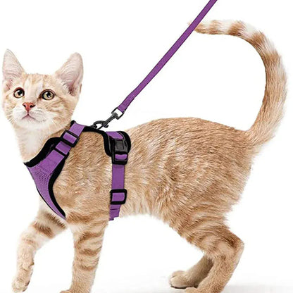 Harnais Orthopédique pour Chat