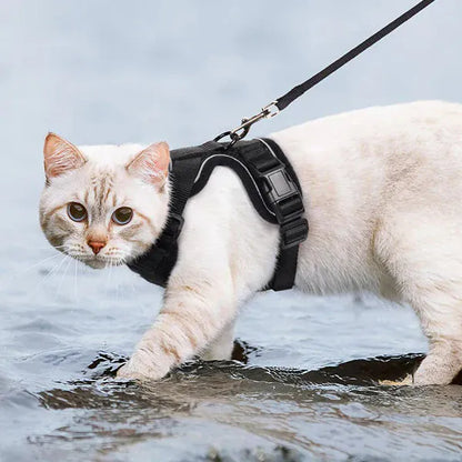 Harnais Orthopédique pour Chat