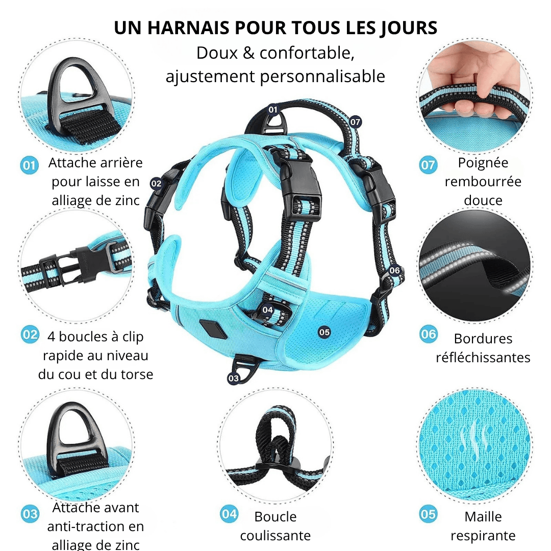 Harnais Orthopédique Réfléchissant