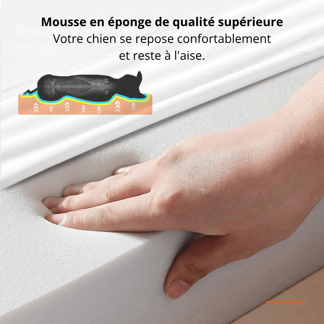 Lit Orthopédique En Mousse Pour Chien