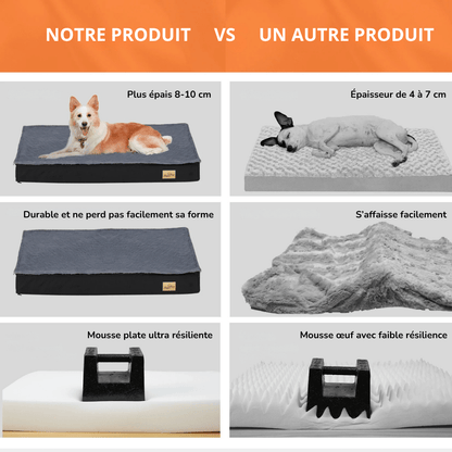 Lit Orthopédique En Mousse Pour Chien