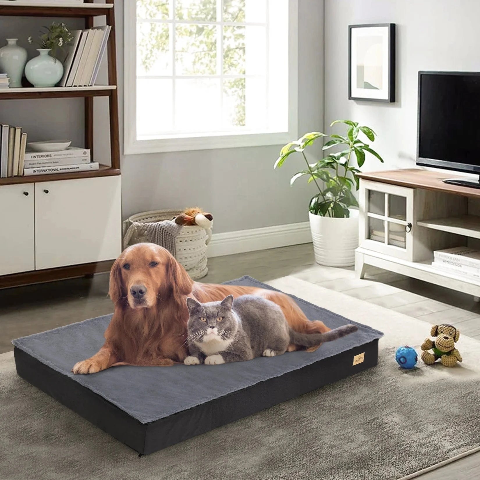 Lit Orthopédique En Mousse Pour Chien