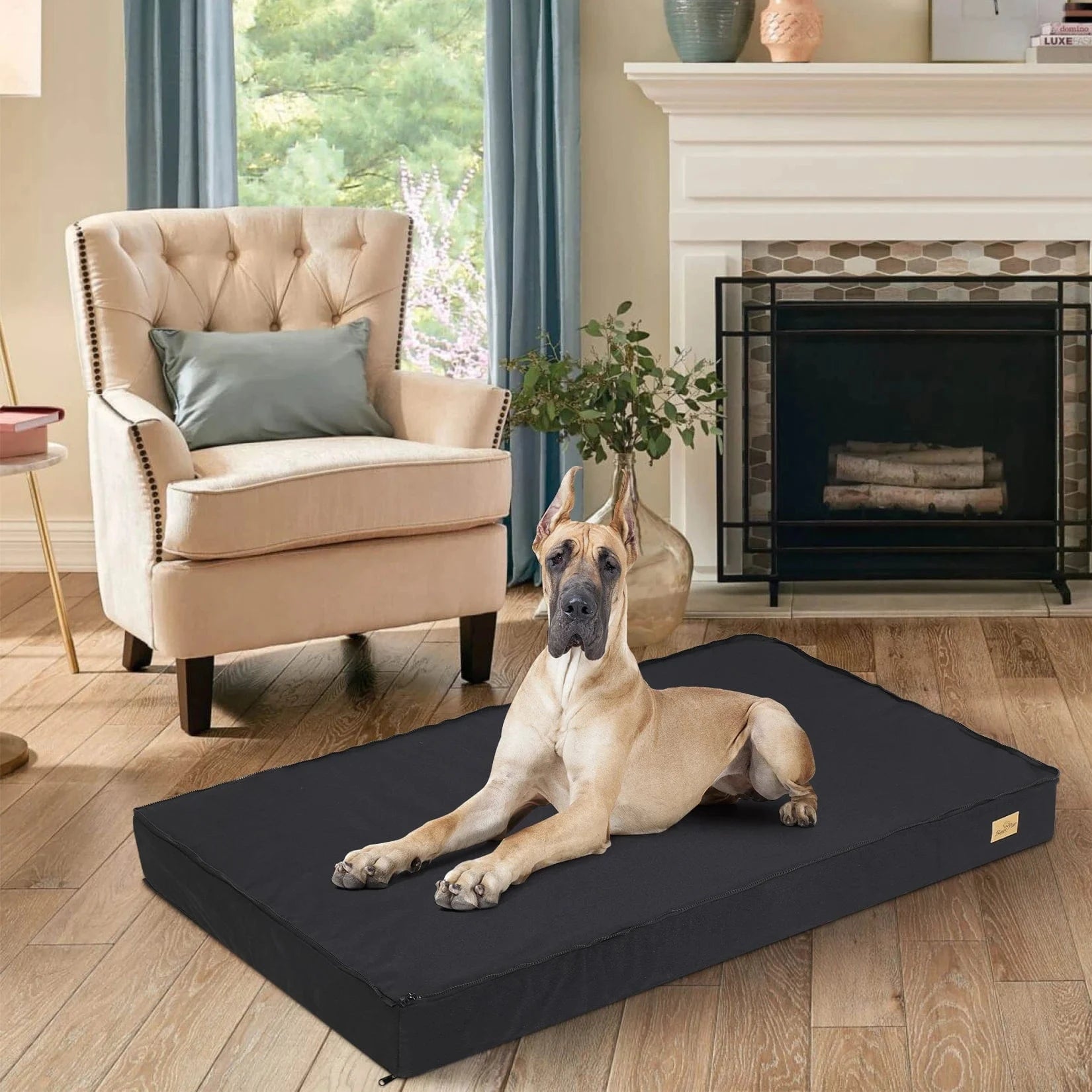 Lit Orthopédique En Mousse Pour Chien