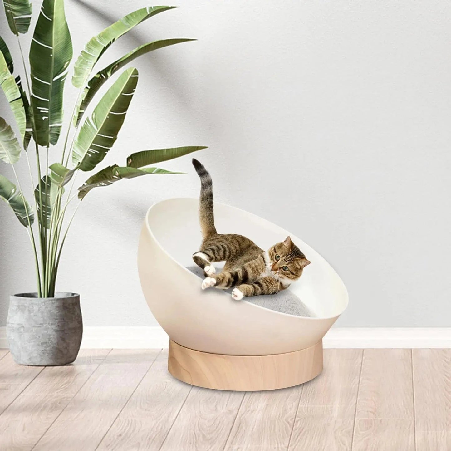 Lit Rond pour Chat