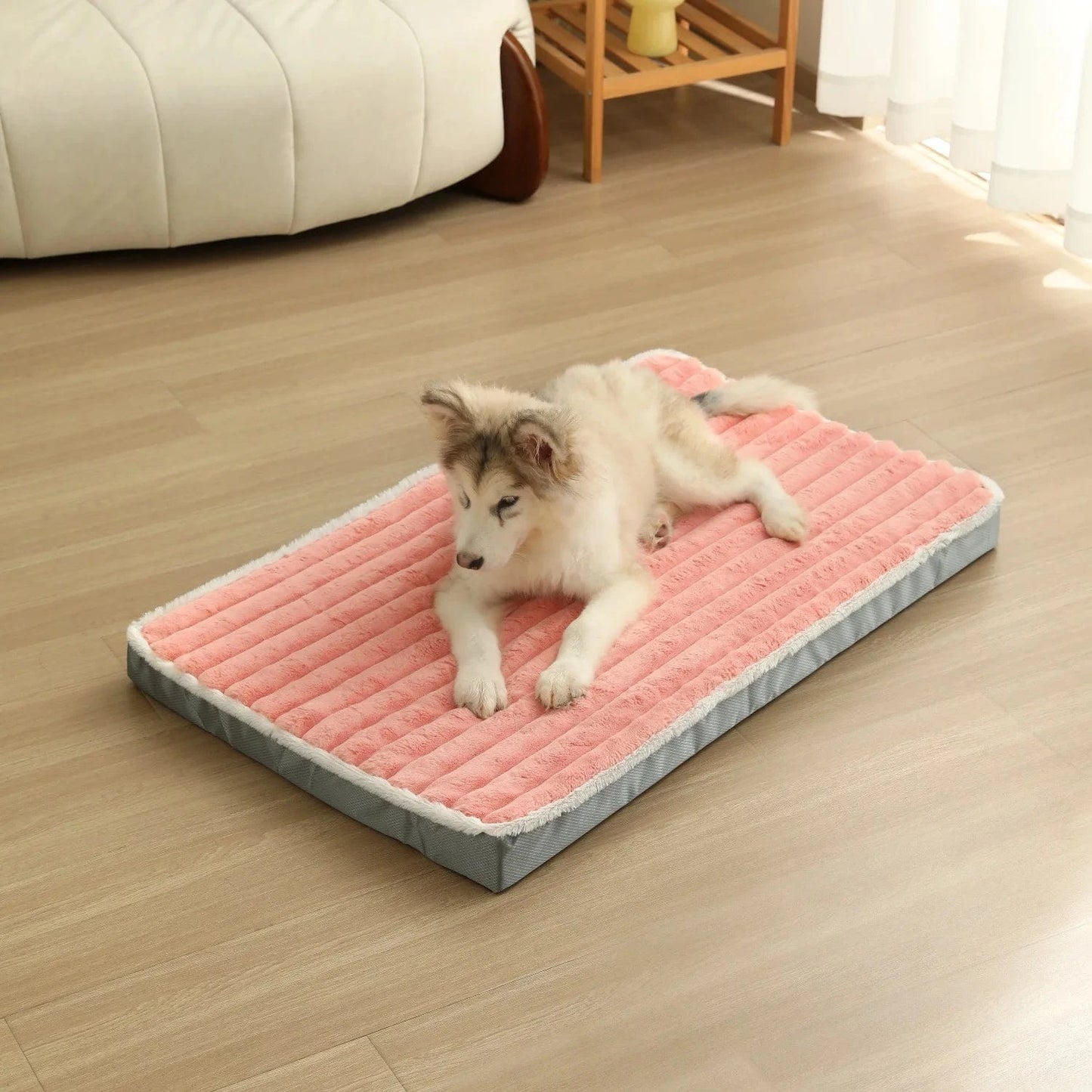 Matelas Orthopédique Pour Chien