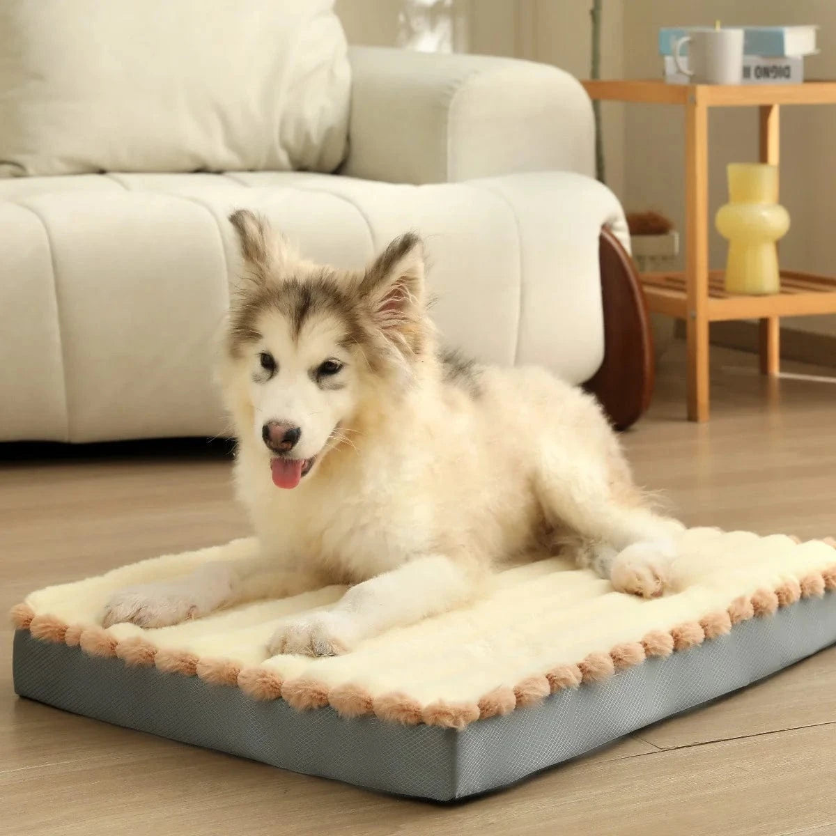 Matelas Orthopédique Pour Chien