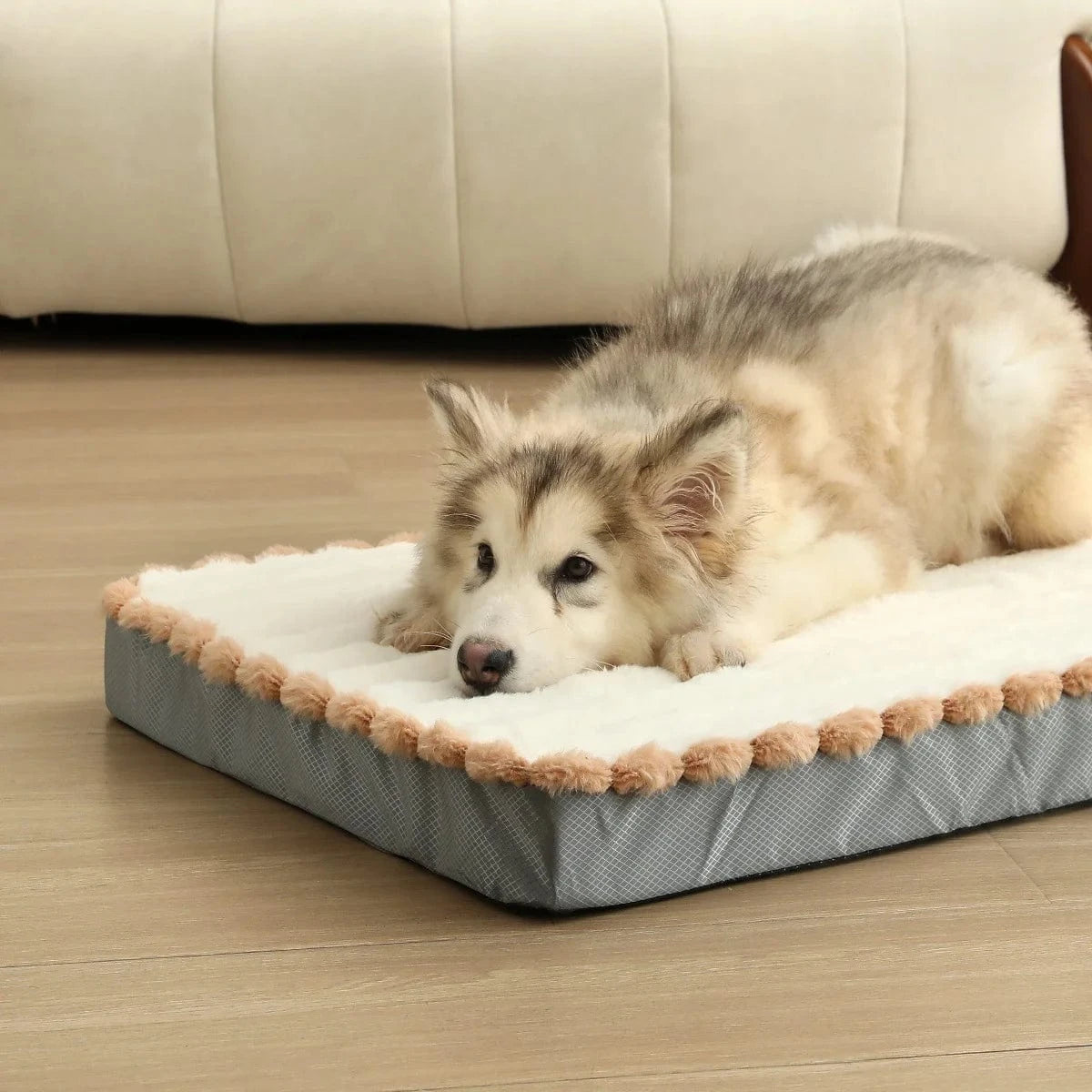 Matelas Orthopédique Pour Chien