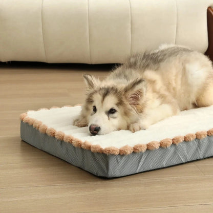 Matelas Orthopédique Pour Chien