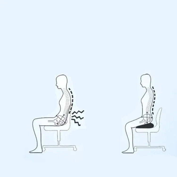 Oreiller Orthopédique pour Siège de Voiture ou de Bureau